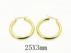 HY Wholesale Earrings 316L Stainless Steel Earrings Jewelry-HY70E1461IL