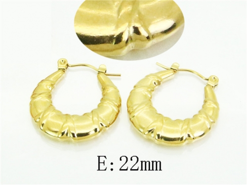 HY Wholesale Earrings 316L Stainless Steel Earrings Jewelry-HY30E1912AML