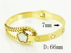 HY Wholesale Bangles Jewelry Stainless Steel 316L Popular Bangle-HY32B1179HHC