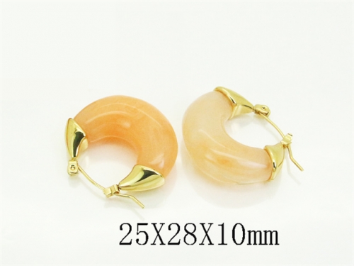 HY Wholesale Earrings 316L Stainless Steel Earrings Jewelry-HY80E1289PS