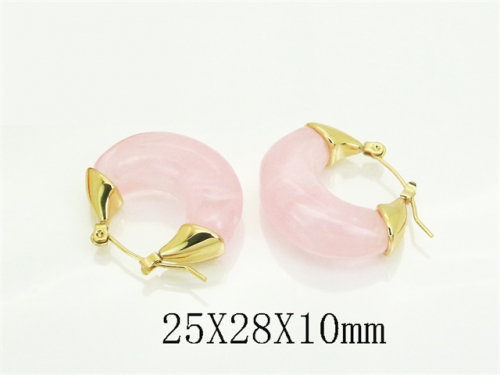 HY Wholesale Earrings 316L Stainless Steel Earrings Jewelry-HY80E1290PD