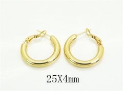 HY Wholesale Earrings 316L Stainless Steel Earrings Jewelry-HY80E1293KL