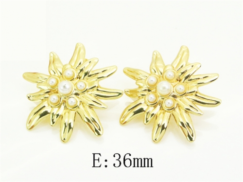 HY Wholesale Earrings 316L Stainless Steel Earrings Jewelry-HY80E1315MD