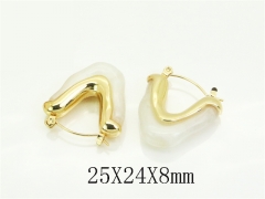 HY Wholesale Earrings 316L Stainless Steel Earrings Jewelry-HY80E1291PT