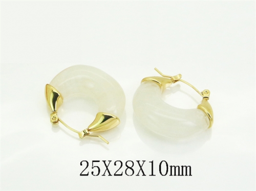 HY Wholesale Earrings 316L Stainless Steel Earrings Jewelry-HY80E1286PQ