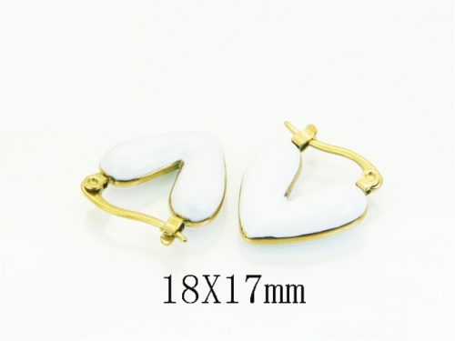 HY Wholesale Earrings 316L Stainless Steel Earrings Jewelry-HY80E1353PE