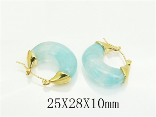 HY Wholesale Earrings 316L Stainless Steel Earrings Jewelry-HY80E1288PA