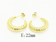 HY Wholesale Earrings 316L Stainless Steel Earrings Jewelry-HY41E0018HHC