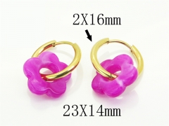 HY Wholesale Earrings 316L Stainless Steel Earrings Jewelry-HY94E0113LR