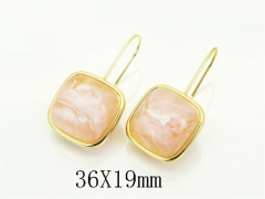 HY Wholesale Earrings 316L Stainless Steel Earrings Jewelry-HY80E1451N5