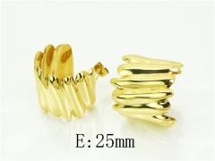 HY Wholesale Earrings 316L Stainless Steel Earrings Jewelry-HY30E2001PL