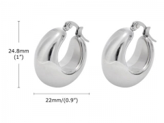 HY Wholesale Jewelry Earrings 316L Stainless Steel Earrings Jewelry-HY0067E0035