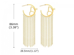 HY Wholesale Jewelry Earrings 316L Stainless Steel Earrings Jewelry-HY0067E0312