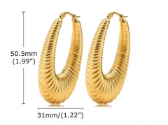 HY Wholesale Jewelry Earrings 316L Stainless Steel Earrings Jewelry-HY0067E0338