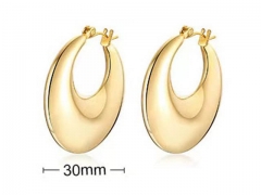 HY Wholesale Jewelry Earrings 316L Stainless Steel Earrings Jewelry-HY0067E0229