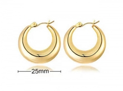 HY Wholesale Jewelry Earrings 316L Stainless Steel Earrings Jewelry-HY0067E0230