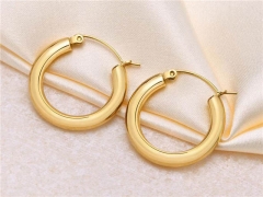 HY Wholesale Jewelry Earrings 316L Stainless Steel Earrings Jewelry-HY0067E0285