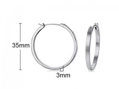 HY Wholesale Jewelry Earrings 316L Stainless Steel Earrings Jewelry-HY0067E0004