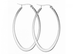 HY Wholesale Jewelry Earrings 316L Stainless Steel Earrings Jewelry-HY0067E0016