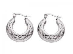 HY Wholesale Jewelry Earrings 316L Stainless Steel Earrings Jewelry-HY0076E0018