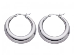 HY Wholesale Jewelry Earrings 316L Stainless Steel Earrings Jewelry-HY0076E0150