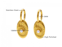 HY Wholesale Jewelry Earrings 316L Stainless Steel Earrings Jewelry-HY0076E0084