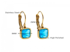 HY Wholesale Jewelry Earrings 316L Stainless Steel Earrings Jewelry-HY0076E0112