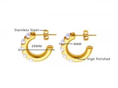 HY Wholesale Jewelry Earrings 316L Stainless Steel Earrings Jewelry-HY0076E0189