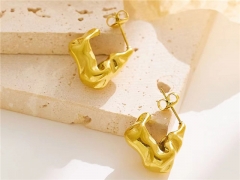 HY Wholesale Jewelry Earrings 316L Stainless Steel Earrings Jewelry-HY0076E0204