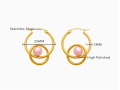 HY Wholesale Jewelry Earrings 316L Stainless Steel Earrings Jewelry-HY0076E0116