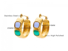 HY Wholesale Jewelry Earrings 316L Stainless Steel Earrings Jewelry-HY0076E0066