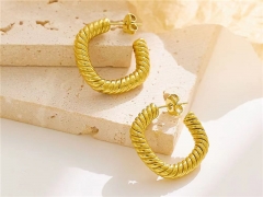 HY Wholesale Jewelry Earrings 316L Stainless Steel Earrings Jewelry-HY0076E0205