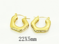 HY Wholesale Earrings 316L Stainless Steel Fashion Earrings Jewelry-HY09E0289OR