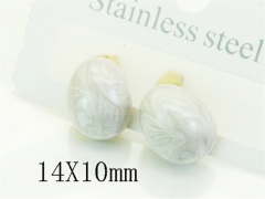 HY Wholesale Earrings 316L Stainless Steel Fashion Earrings Jewelry-HY09E0306NE