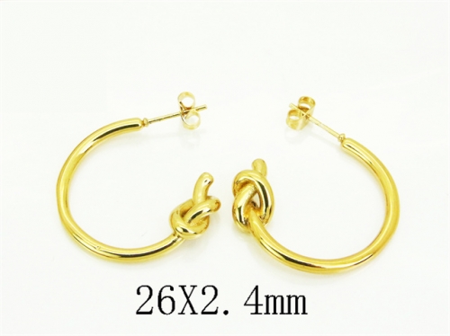 HY Wholesale Earrings 316L Stainless Steel Fashion Earrings Jewelry-HY09E0191WML