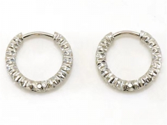 HY Wholesale Jewelry Earrings 316L Stainless Steel Earrings Jewelry-HY0082E0024