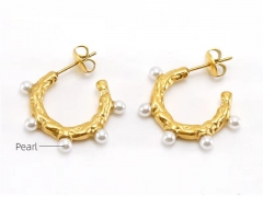 HY Wholesale Jewelry Earrings 316L Stainless Steel Earrings Jewelry-HY0082E0444