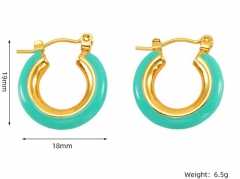 HY Wholesale Jewelry Earrings 316L Stainless Steel Earrings Jewelry-HY0082E0126