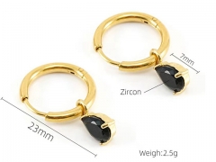 HY Wholesale Jewelry Earrings 316L Stainless Steel Earrings Jewelry-HY0082E0450