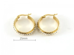 HY Wholesale Jewelry Earrings 316L Stainless Steel Earrings Jewelry-HY0082E0453