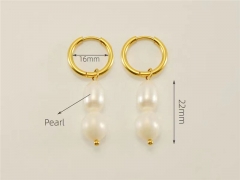 HY Wholesale Jewelry Earrings 316L Stainless Steel Earrings Jewelry-HY0082E0351