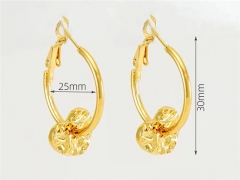 HY Wholesale Jewelry Earrings 316L Stainless Steel Earrings Jewelry-HY0082E0032