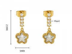 HY Wholesale Jewelry Earrings 316L Stainless Steel Earrings Jewelry-HY0082E0589