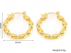 HY Wholesale Jewelry Earrings 316L Stainless Steel Earrings Jewelry-HY0082E0052