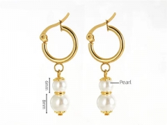 HY Wholesale Jewelry Earrings 316L Stainless Steel Earrings Jewelry-HY0082E0654