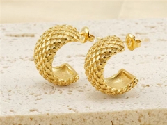 HY Wholesale Jewelry Earrings 316L Stainless Steel Earrings Jewelry-HY0082E0156