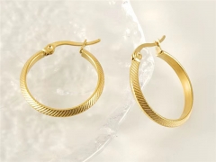 HY Wholesale Jewelry Earrings 316L Stainless Steel Earrings Jewelry-HY0082E0294