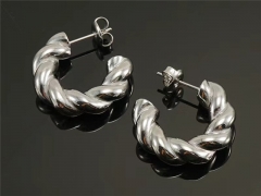 HY Wholesale Jewelry Earrings 316L Stainless Steel Earrings Jewelry-HY0082E0180