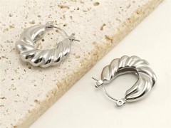 HY Wholesale Jewelry Earrings 316L Stainless Steel Earrings Jewelry-HY0082E0413