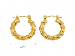 HY Wholesale Jewelry Earrings 316L Stainless Steel Earrings Jewelry-HY0082E0729